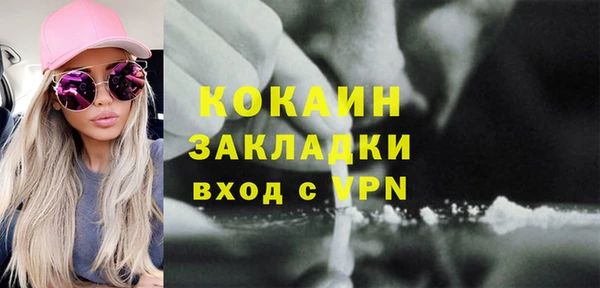 шишки Мегион