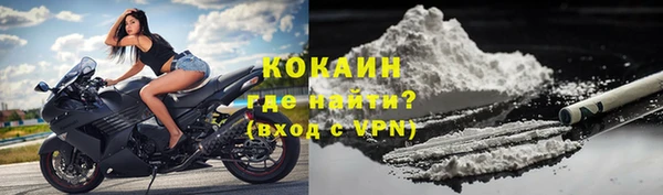 шишки Мегион