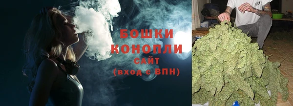 трава Медвежьегорск