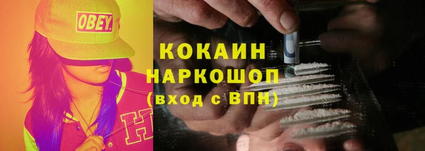 шишки Мегион