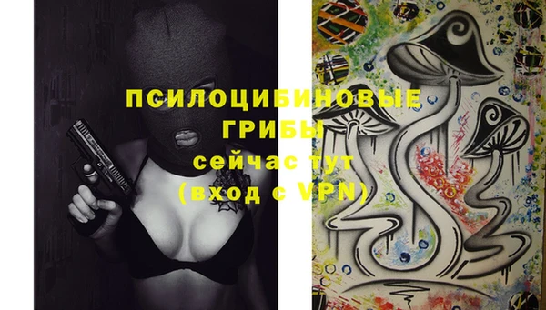 скорость Няндома