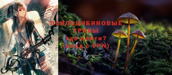 ешки Пересвет