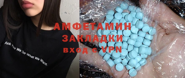 шишки Мегион