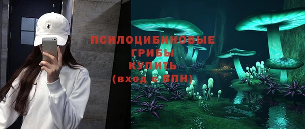 прущая мука Медногорск