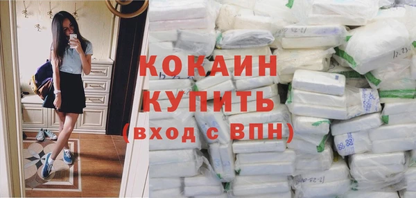 шишки Мегион