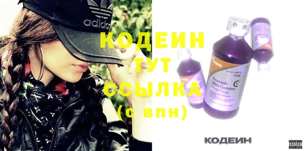 шишки Мегион