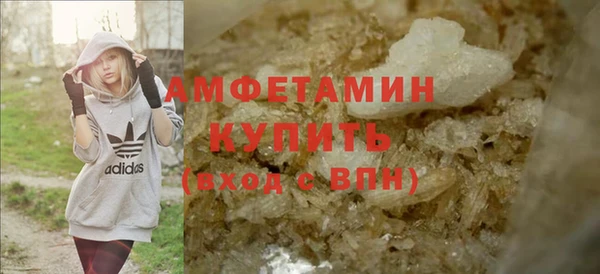 шишки Мегион